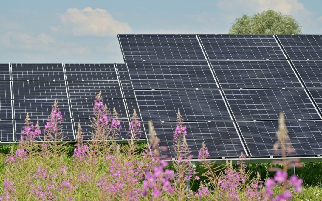 Beneficios de los paneles solares
