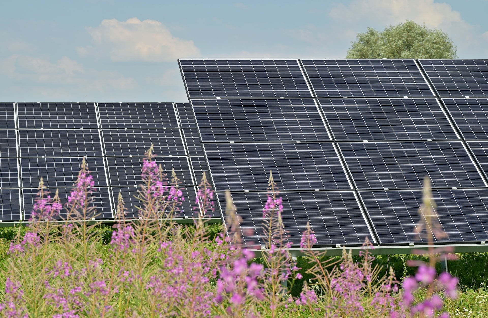 Beneficios de los paneles solares